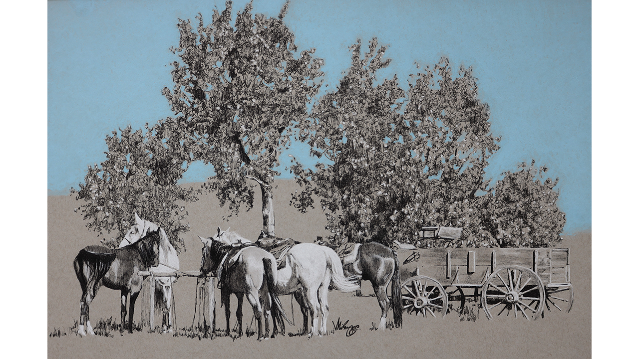 horses tied up with wagon near grove of trees
