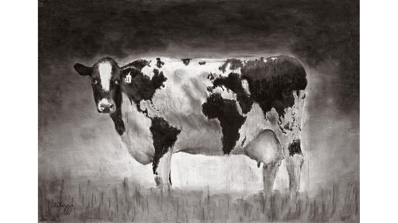 profile of a cow whose spots resemble a map of the world