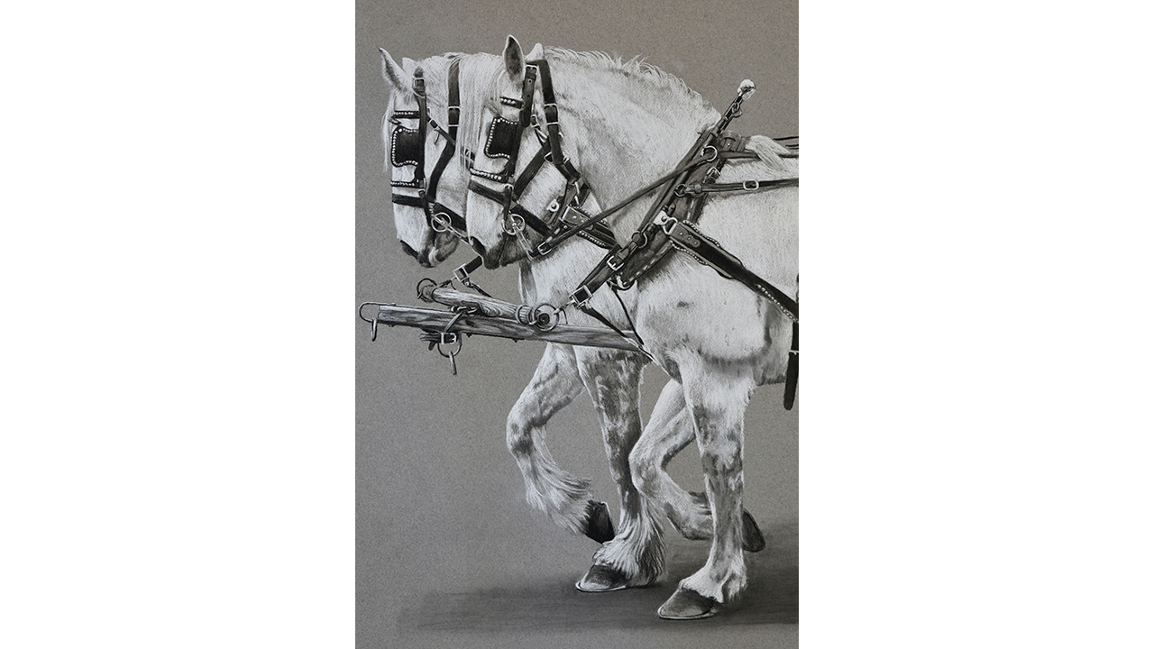 two carriage horses stepping in unison