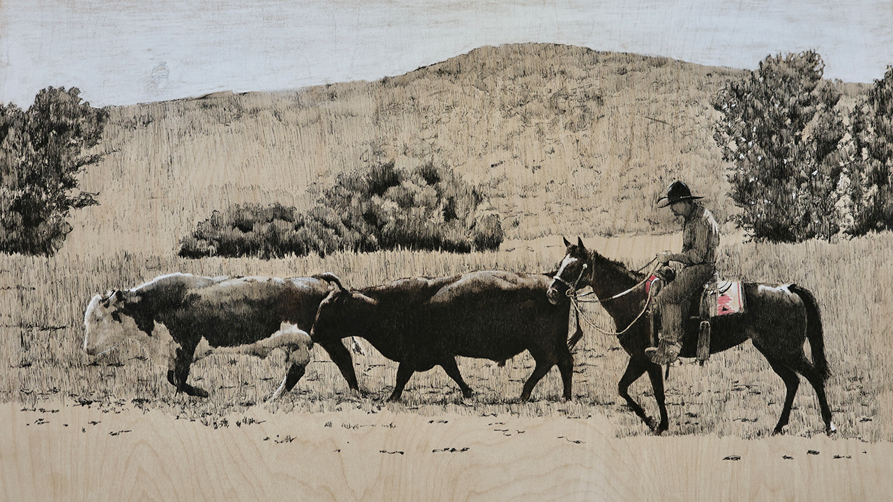 cowboy moving cattle on range, light blue sky