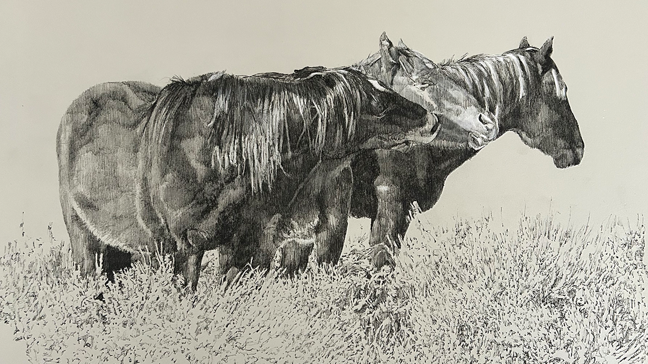 three horses, one nibbling at another like a kiss