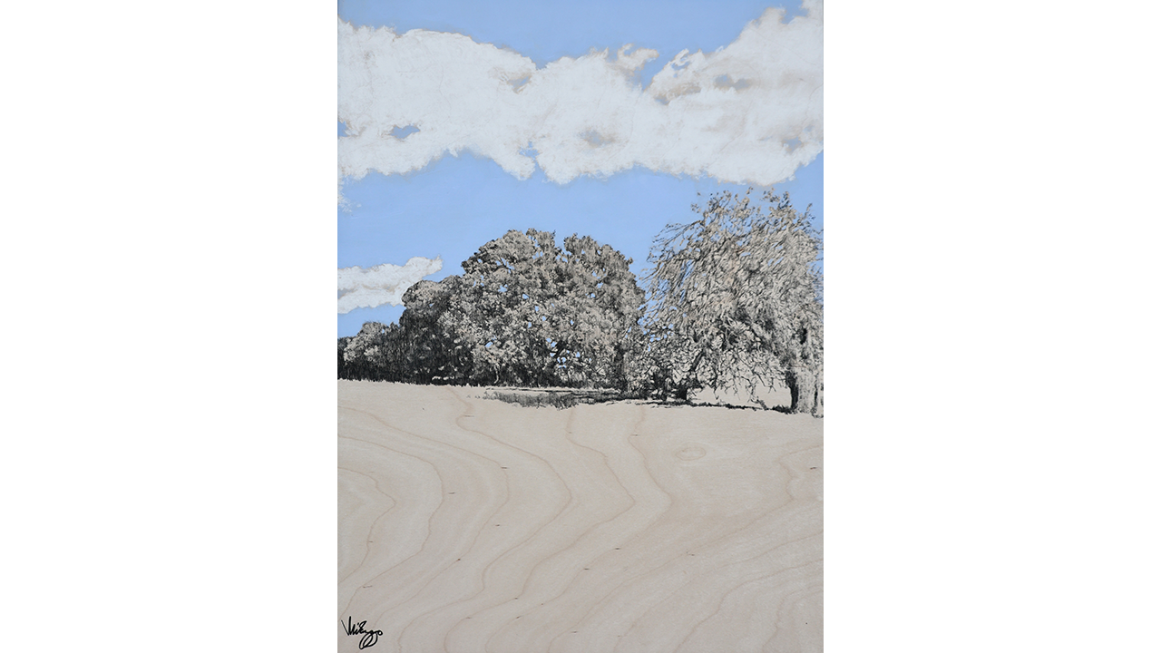water swept ground with trees and cloudy blue skies