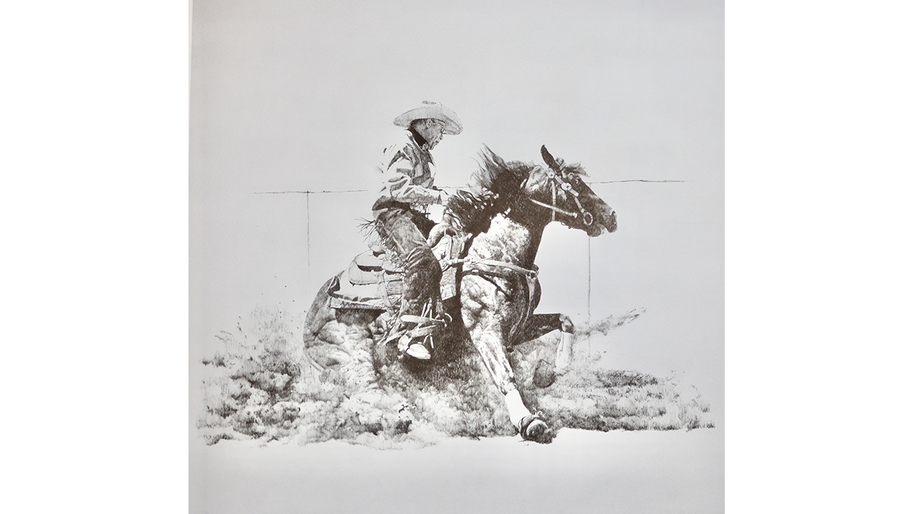 horse and rider sliding in the dirt