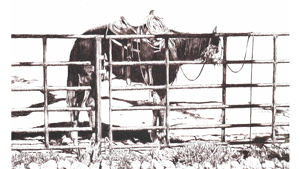 saddled horse behind metal corral, rubbing its face on the bars
