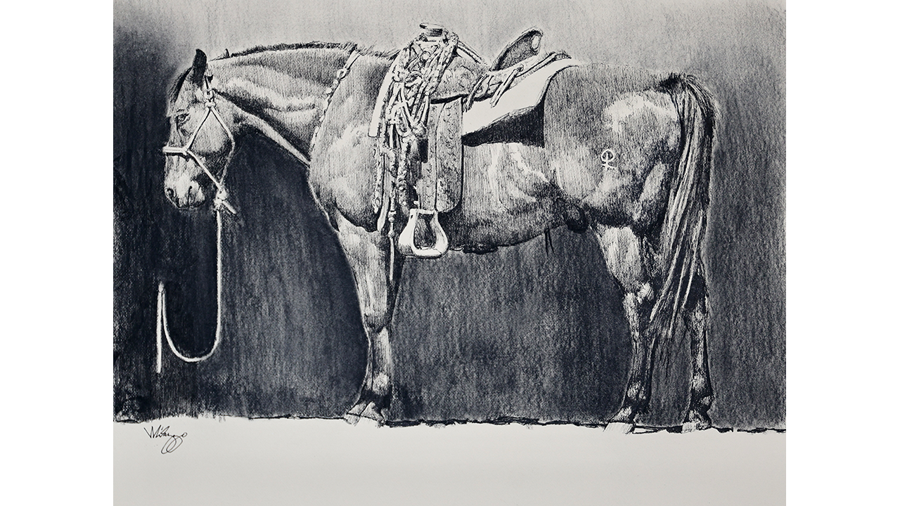 saddled horse in waiting