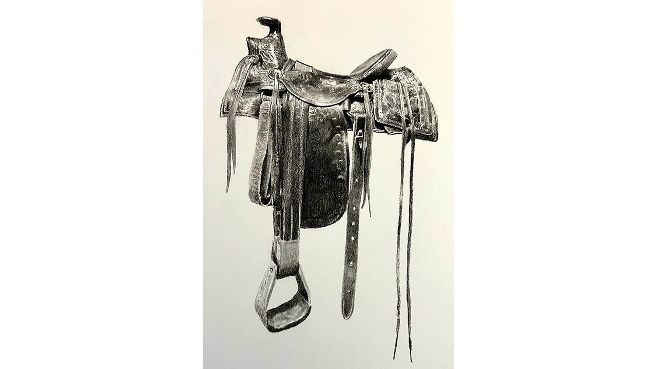 detailed saddle illustration