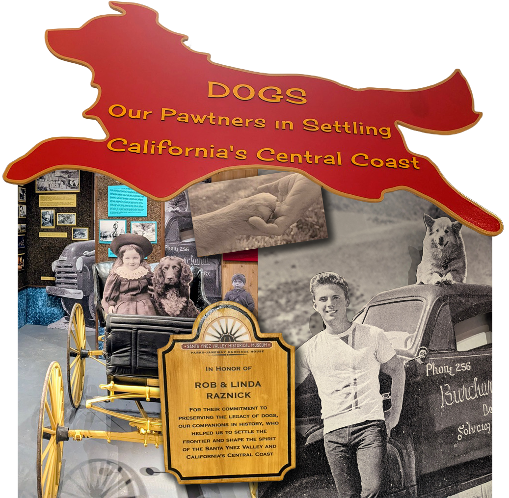 Signage and exhibit elements for Dogs: Our Pawtners in Settling California's Central Coast