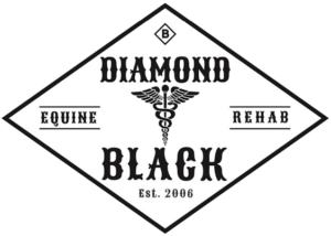 Diamond Black Equine Rehab